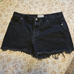 Everlane Dark Denim Jean Shorts
